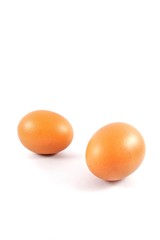 Brown egg on white background