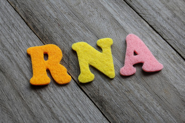 RNA (Ribonucleic acid) acronym on wooden background