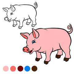 Coloring page. Color me: pig. Little cute pig stands and smiles.
