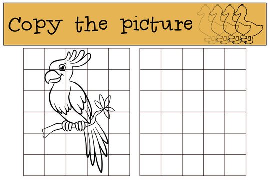 Children games: Copy the picture. Little cute parrot sits on the