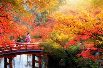 Wooden bridge