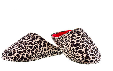 Pair of cozy and warm slippers on a white background