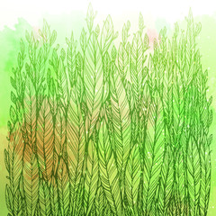 Green graphic grass on watercolor background. Vector design element.