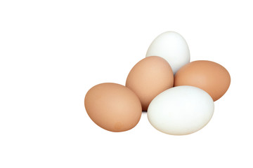 Many eggs