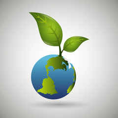 eco friendly  design 