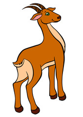 Beautiful antelope stands and smiles.