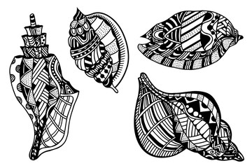 Set Of Decorative Seashells