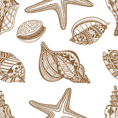 Sea shells. Brown and white