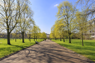 Fototapeta na wymiar Beautiful landscape around Hyde Park