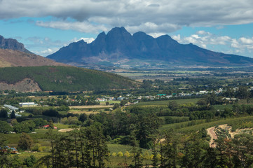 Naklejka na ściany i meble The Cape Winelands region is the premier wine producing area of South Africa