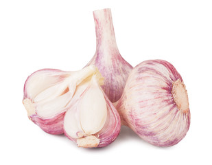 three fresh garlic head isolated on white background