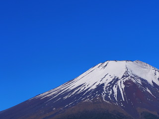 Fototapeta premium 初夏の富士山