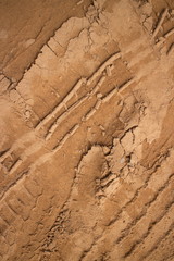 Vertical overhed view of tire tracks on semi-muddy road