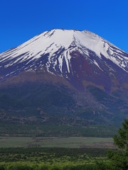 Fototapeta premium 初夏の富士山