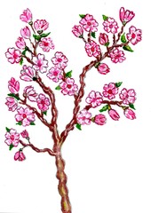 Sakura Branch Painting