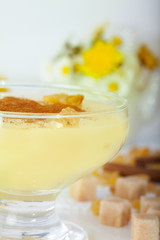 Vanilla Pudding sauce with raisins and cinnamon