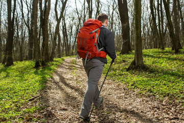 Active healthy man hiking in beautiful forest