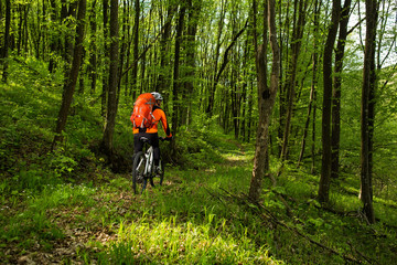 Obraz premium Cyclist Riding the Bike on a Trail in Summer Forest