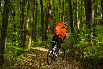 Cyclist Riding the Bike on a Trail in Summer Forest