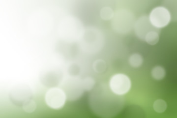 Obraz premium green and light green blur background
