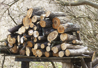 Firewood stacked in a pile on the nature.