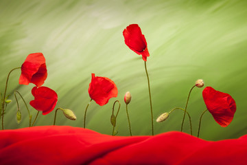 Obraz premium Five poppy flowers and buds on green background with red cloth