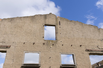 flourishing landscapes