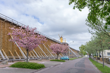 spa garden and graduation house with windmill