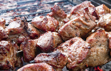  shish kebab on the grill