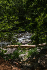 Wind, Water, Red Earth and Sedona