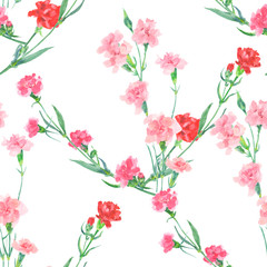 Watercolor floral seamless pattern with carnation