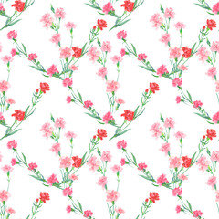 Watercolor floral seamless pattern with carnation