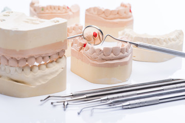 Fototapeta na wymiar Teeth molds with basic dental tools on a bright white table