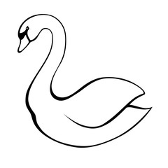 Naklejka premium Swan black white bird isolated illustration vector