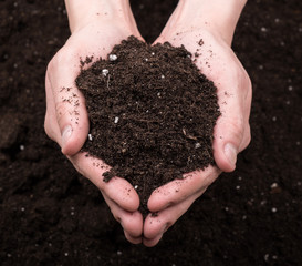 Soil in hands