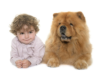 chow chow and boy