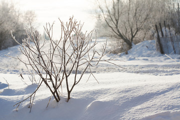 Fototapeta na wymiar Wonderful winter landscape