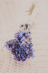 Obraz na płótnie Canvas Fresh lavender bunch