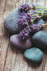 Stones with lavender © oksix