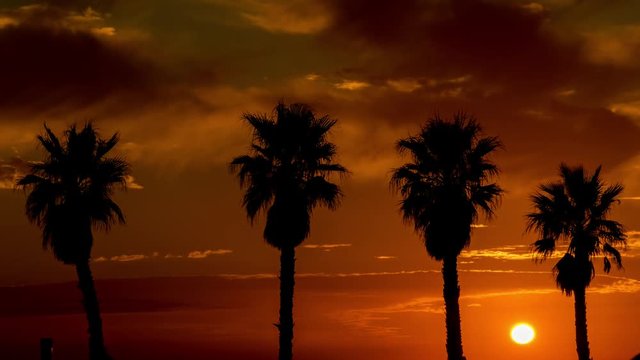 Zeitraffer Lissabon Palmen Sonnenuntergang