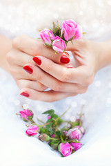 Woman's Hands with Bouquet of Roses. Beautiful Manicure. Woman's Hands with Bouquet of Roses. Beautiful Manicure. Beauty and Fashion Concept. Health Care