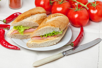Italian panini sandwich.