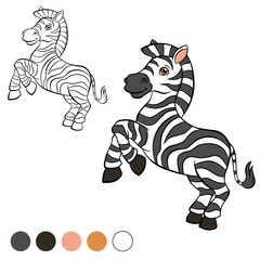 Fototapeta na wymiar Coloring page. Color me: zebra.