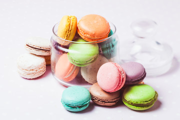 The Colorful macaroons 