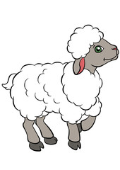 Fototapeta premium Cartoon farm animals for kids. Little cute sheep.