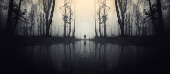 forêt avec reflet dans le lac et la silhouette de l& 39 homme
