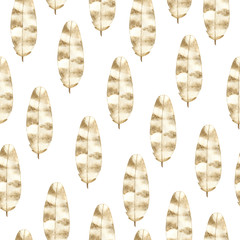 Watercolor feather seamless pattern on white background