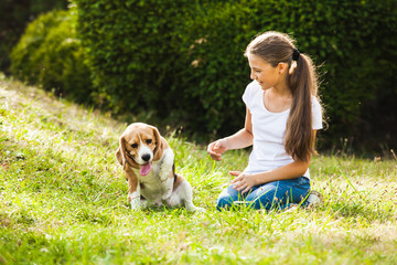 Girl plays with a dog