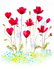 Fototapeta na wymiar watercolor hand painted poppies with ink sketch lines