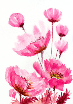 watercolor hand painted pink poppies composition